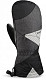 Купить Варежки DAKINE AVALON MITT wmn. 06GL6C